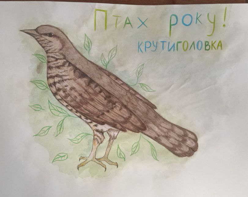 - Цвілик Вероніка, учениця  9-А класу  Гімназії № 4 міста Сіверськодонецька Луганської області – ІІ місце;