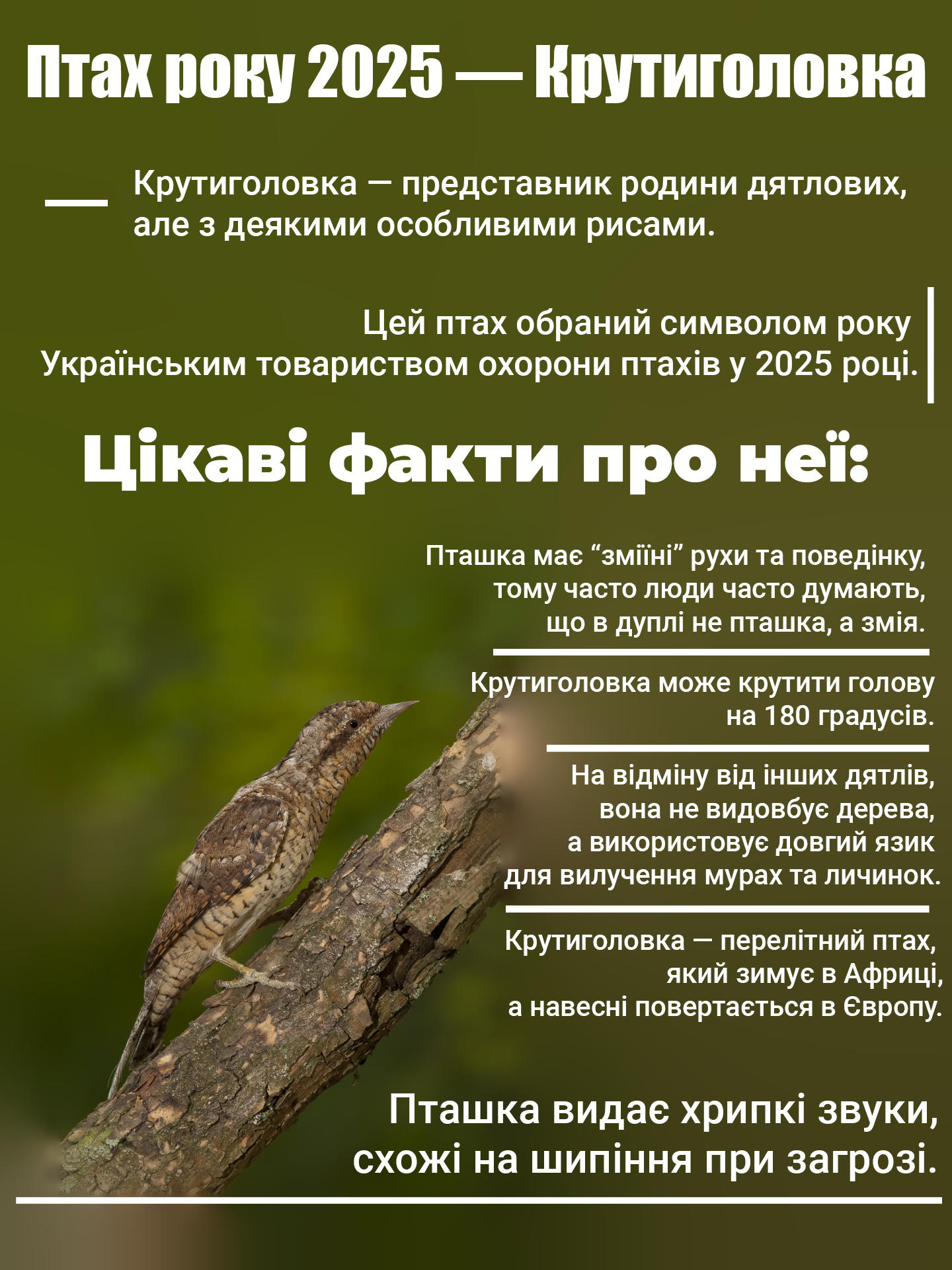  -  Тарасов Роман, учень 9-А класу Ліцею №1 міста Сіверськодонецька Луганської області  - ІІІ місце.